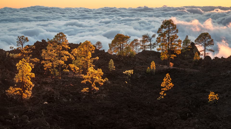 Sunset above the Clouds - Teneriffa – photo by Benjamin Weise